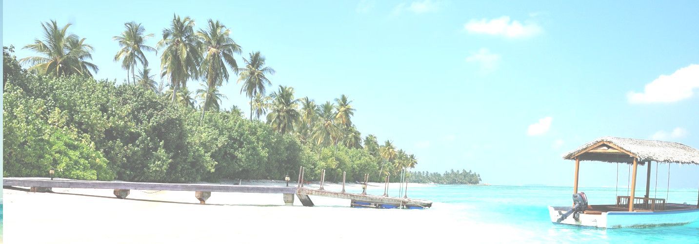 private jet to جزر المالديف